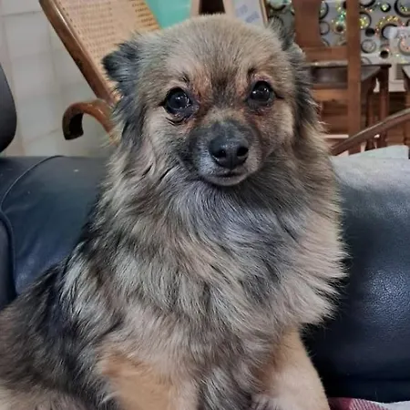 Peregrinos Casaflor Hostel Murias de Rechivaldo