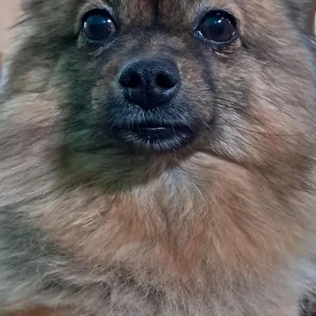 Peregrinos Casaflor Murias de Rechivaldo