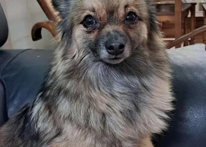 Peregrinos Casaflor 호스텔 Murias de Rechivaldo