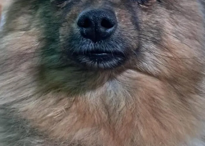 Peregrinos Casaflor Murias de Rechivaldo